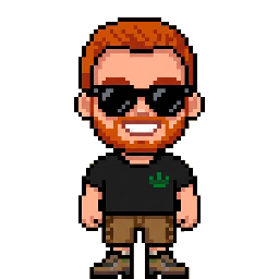 Carmine Paolino, pixel character